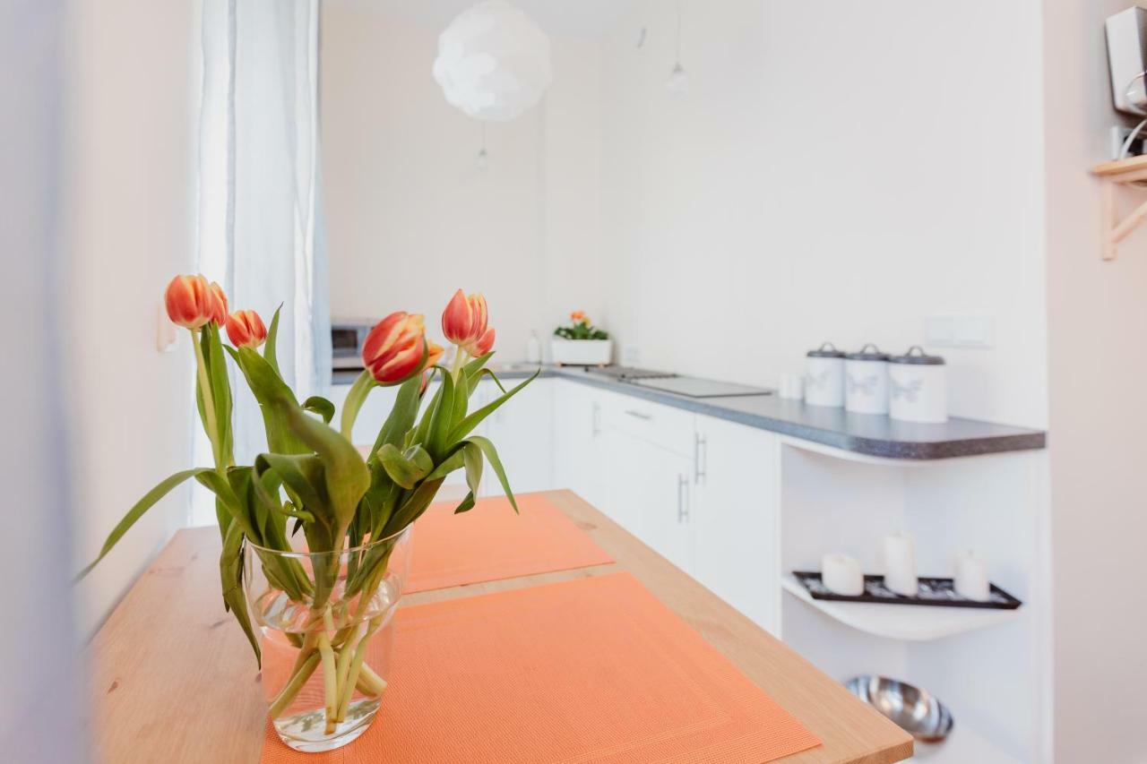 Garden Apartment Kraków Eksteriør billede